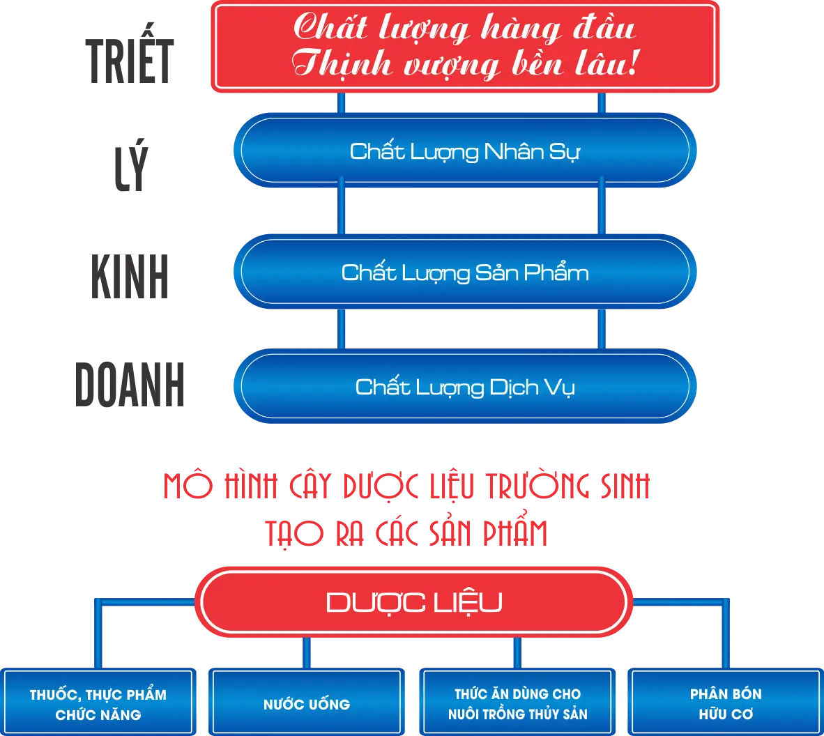 sơ đồ vận hành của trường sinh group